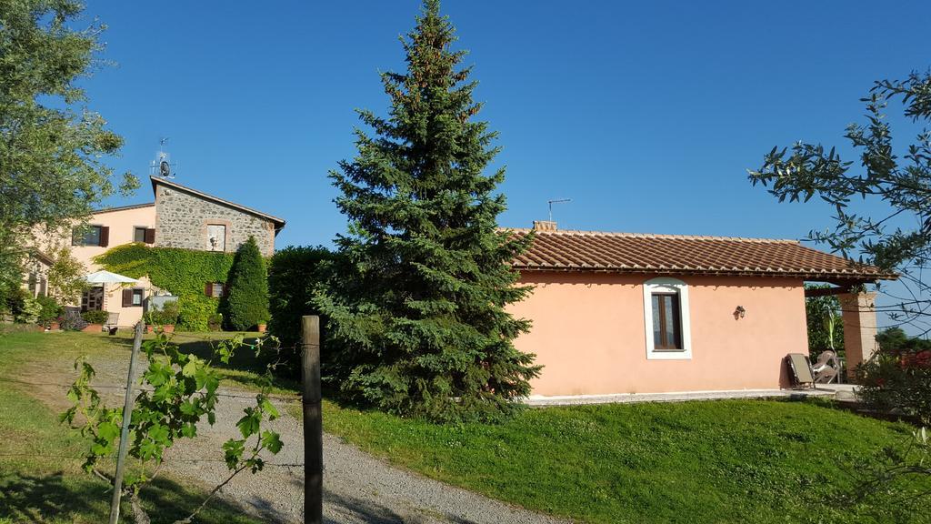 Casale Citerno Apartamento Bolsena Exterior foto